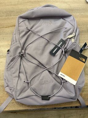 The North Face Jester Backpack in Light Lavender